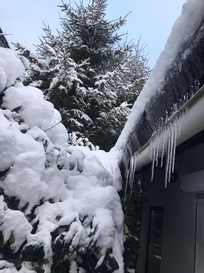 Schoenwald Waldchalet Am Musenberg Stryck المظهر الخارجي الصورة