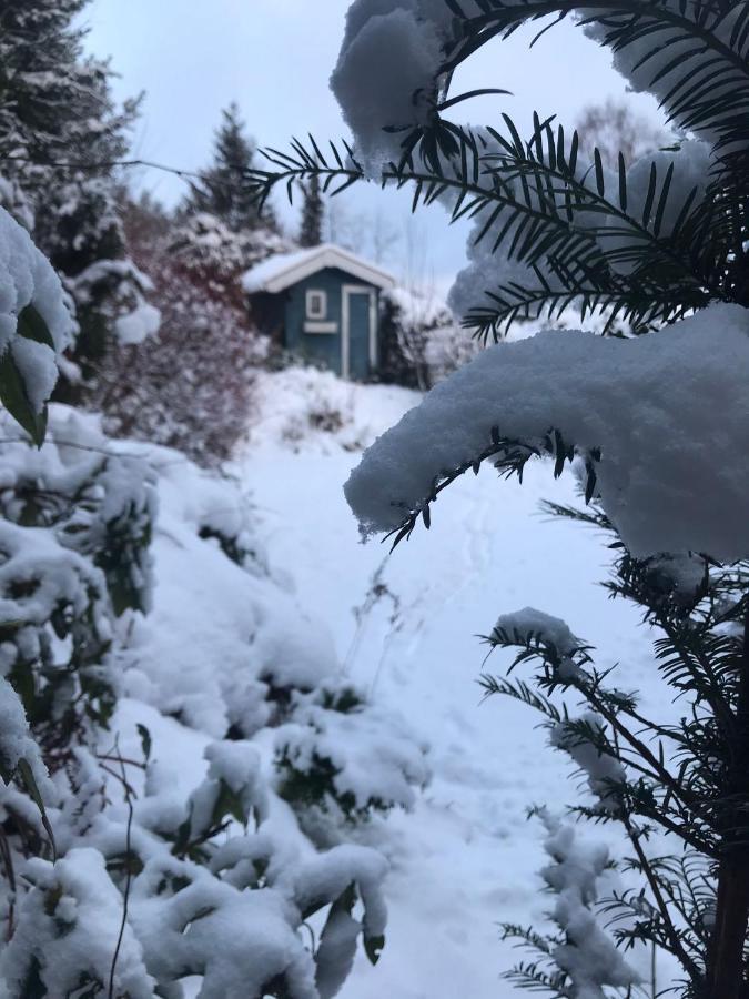 Schoenwald Waldchalet Am Musenberg Stryck المظهر الخارجي الصورة