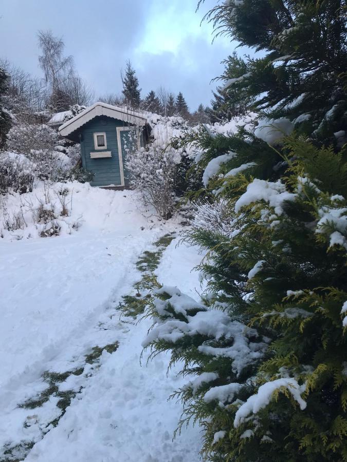Schoenwald Waldchalet Am Musenberg Stryck المظهر الخارجي الصورة