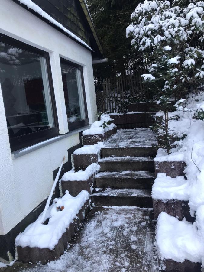 Schoenwald Waldchalet Am Musenberg Stryck المظهر الخارجي الصورة