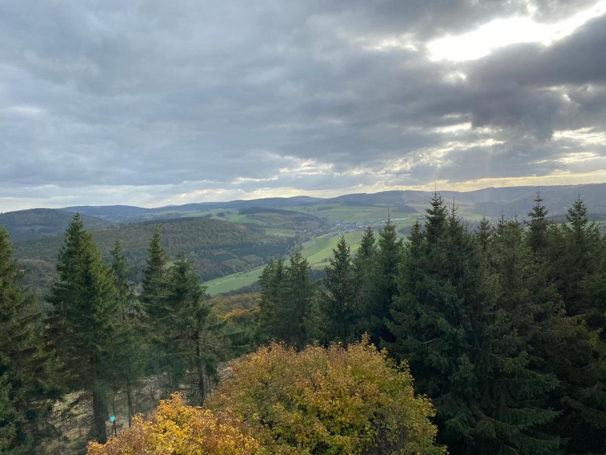 Schoenwald Waldchalet Am Musenberg Stryck المظهر الخارجي الصورة